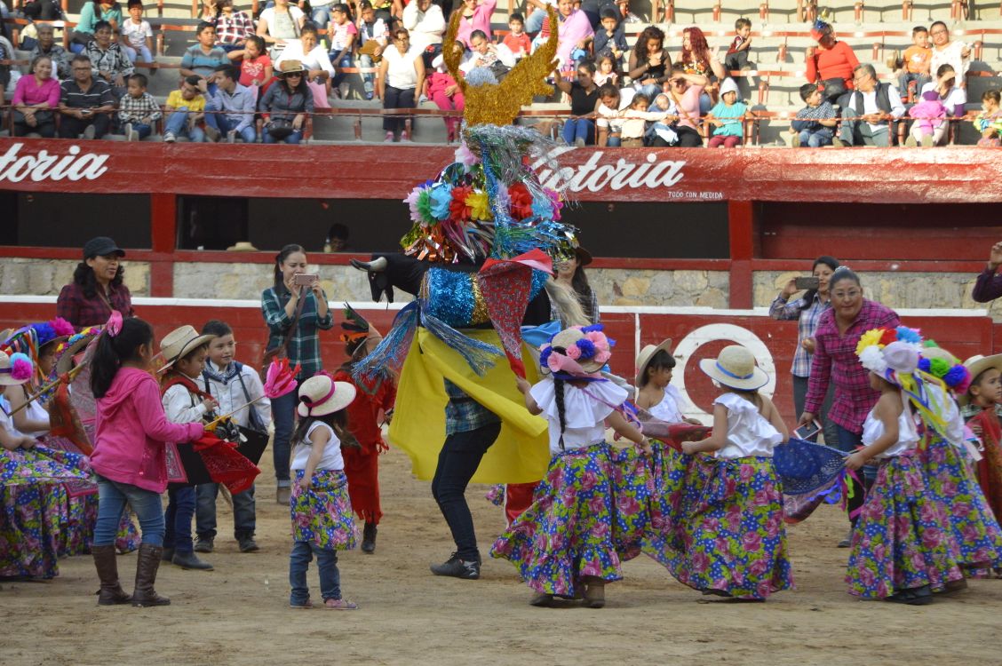 Viven el carnaval