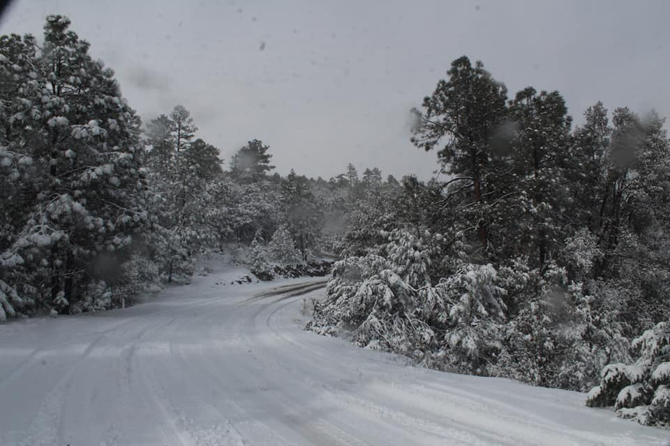 Nevado en carreteras de Chihuahua para tráfico vehicular.